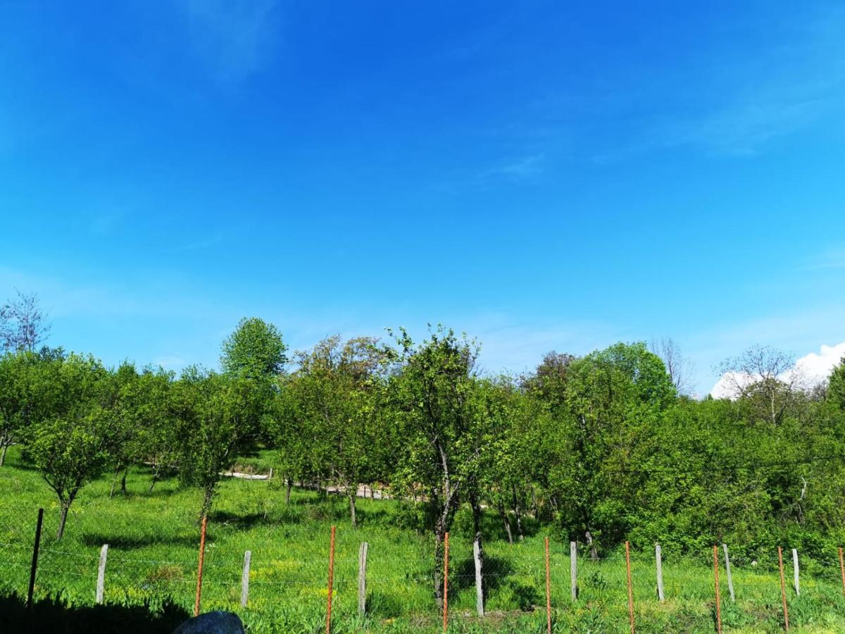 Casuta Din Gradina Villa Horezu Dış mekan fotoğraf