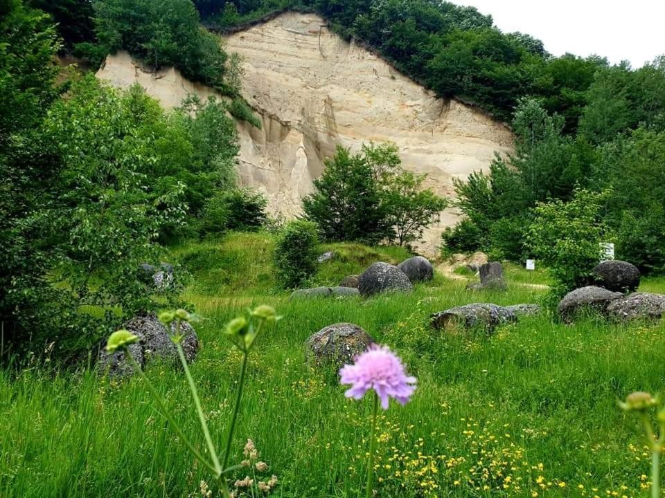 Casuta Din Gradina Villa Horezu Dış mekan fotoğraf