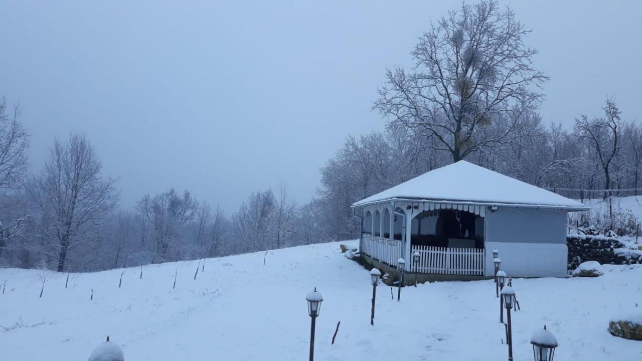 Casuta Din Gradina Villa Horezu Dış mekan fotoğraf