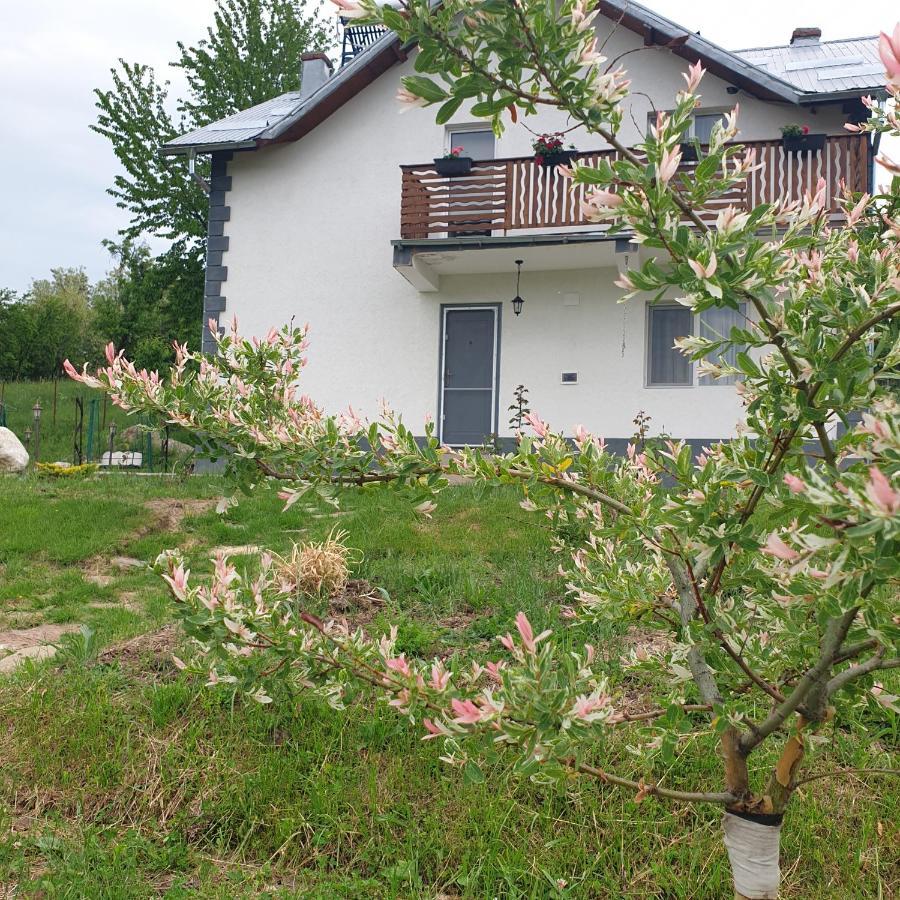 Casuta Din Gradina Villa Horezu Dış mekan fotoğraf